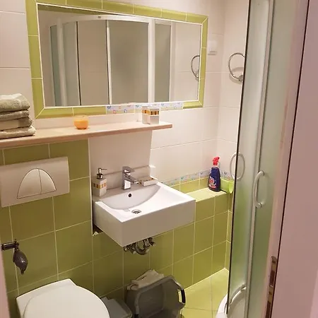 Apartment Mirela